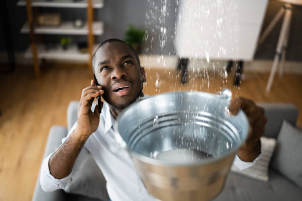Best Mold removal after water damage  in Brooklyn, IN