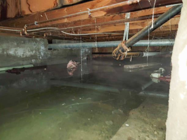 Best Water damage restoration process  in Brooklyn, IN