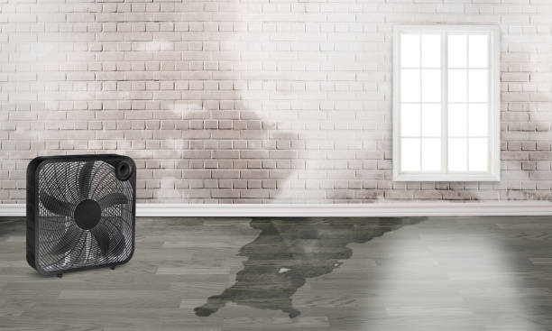 Best Water damage restoration services  in Brooklyn, IN