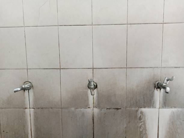 Best Water damage repair service  in Brooklyn, IN