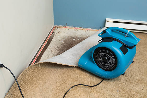 Best Sewage cleanup and water damage restoration  in Brooklyn, IN